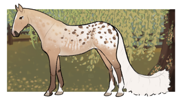 Thumbnail for 12684 OSR Caffè Corretto All'amaretto