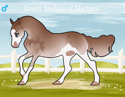 Thumbnail image for 6549 Stallion of Mayhem
