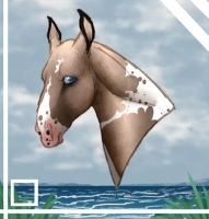 Thumbnail for 11940 Princess Honey