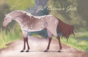 Thumbnail for 10629 ZL Crimson Gale