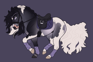 12597 CS Evanescence