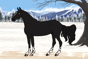 Thumbnail for 11930 Lakeside's Deep Night