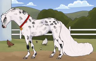 Thumbnail of 11260 BE London Dalmatian