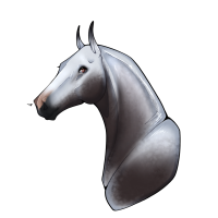 Thumbnail image for 10959 Nivaris