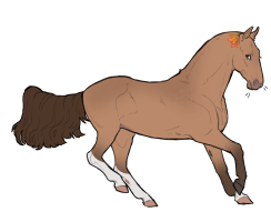 Thumbnail of 10481 WWA Wild Sassafrass