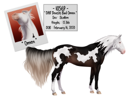 Thumbnail for 10569 DAR Deaths Bad Omen