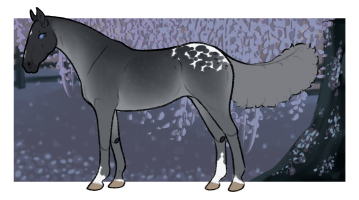 Thumbnail for 9368 OSR Our Blue Rose