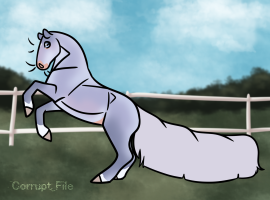 Thumbnail for 10843 SH Northern Delights