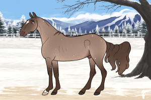 Thumbnail for 11761 Lakeside's American Gangster