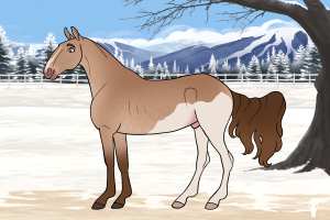 Thumbnail for 12233 Lakeside's Toffee Crunch