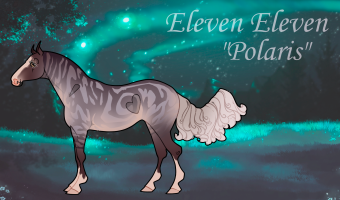 Thumbnail for 10454 FWR Eleven Eleven