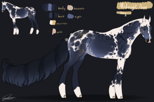 Thumbnail for 12845 Midnight Sun