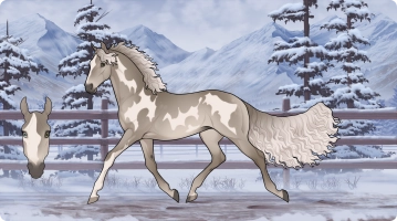 Thumbnail for 5754 Night Fever