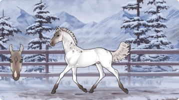 Thumbnail for 2837 Ivory Prince
