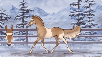 Thumbnail for 2905 LR Tumbling Sun