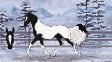 Thumbnail for 2930 Call Of The Crow