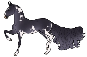 Thumbnail for 5679 SWS Kajala