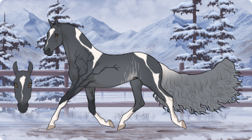 Thumbnail for 3250 BOE Gloomy Night