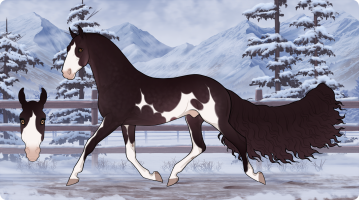 Thumbnail for 3905 PF Lascivio