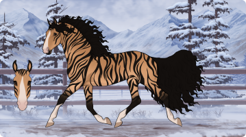 Thumbnail for 5409 Lotus Casino