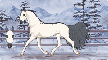 Thumbnail for 5013 Mort's Cillious