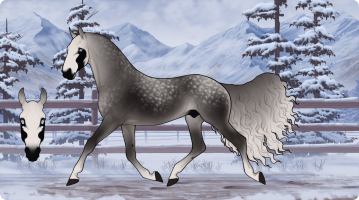 Thumbnail for 3658 Thousand Stories