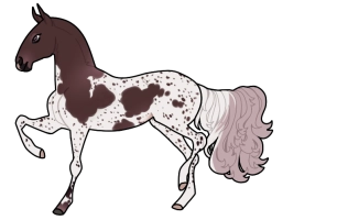 Thumbnail for 4646 Modest in Measure