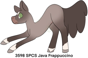 Thumbnail for 3598 SPCS Java Frappuccino