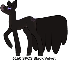 Thumbnail for 6160 SPCS Black Velvet