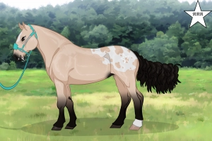 Thumbnail for 3271 Imperfect Girl