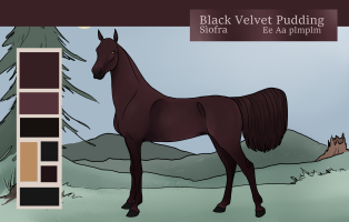 8377 Black Velvet Pudding Thumbnail