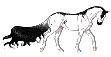 Thumbnail for 4214 JSS Pulling the Strings