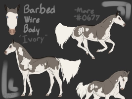 Thumbnail image for 0677 Barbed Wire Body