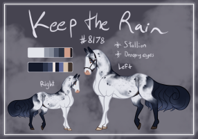 Thumbnail for 8178 Keep the Rain