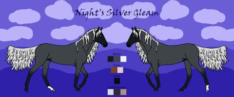 Thumbnail image for 3097 KJS Night's Silver Gleam