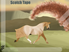 Thumbnail for 8507 Scotch Tape