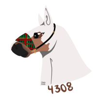 Thumbnail for 4308 SWA Christmas Everlast