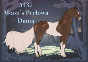 5437 Moon's Perlowa Dama Thumbnail