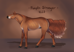 Thumbnail for 8225 Pumpkin Stranger