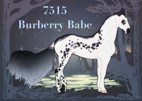 Thumbnail for 7515 Burberry Babe