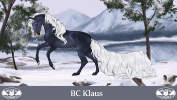 Thumbnail for 5893 BC Klaus
