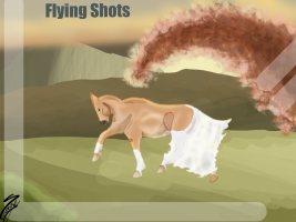 Thumbnail for 1354 Flying Shots