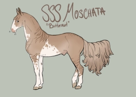 Thumbnail for 0735 SSS Moschata