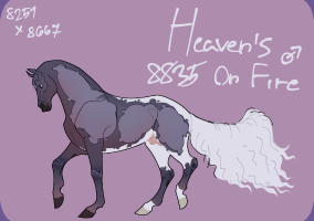 Thumbnail for 8835 Heaven’s On Fire