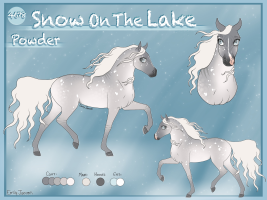 Thumbnail for 4678 Snow On The Lake