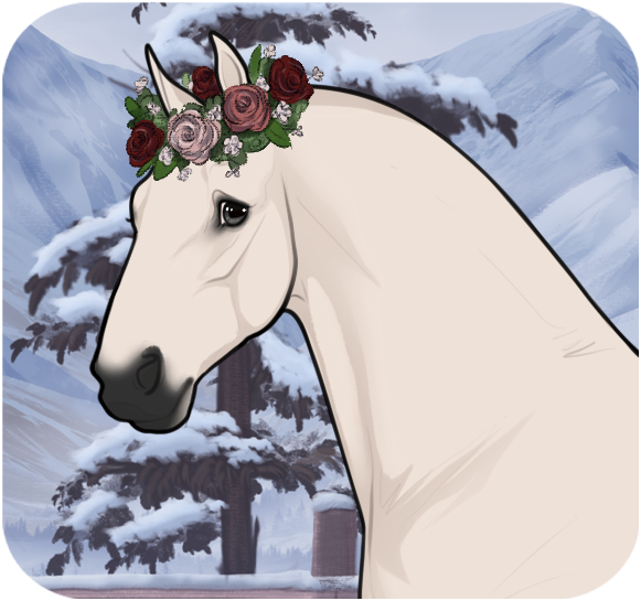 Valentine's Flower Crown