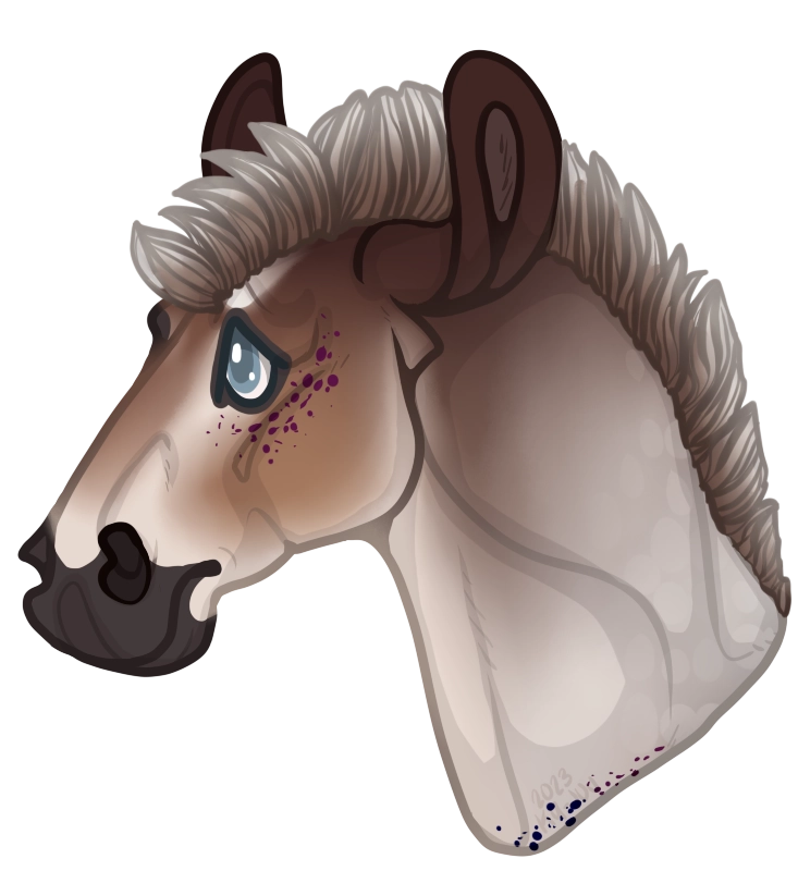 Click to view larger size Kiku