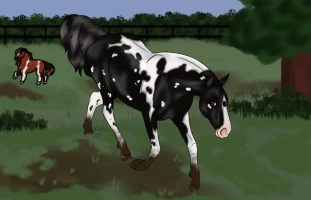 Submission thumbnail