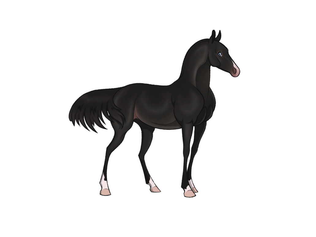 Click to view larger size Maven old reference