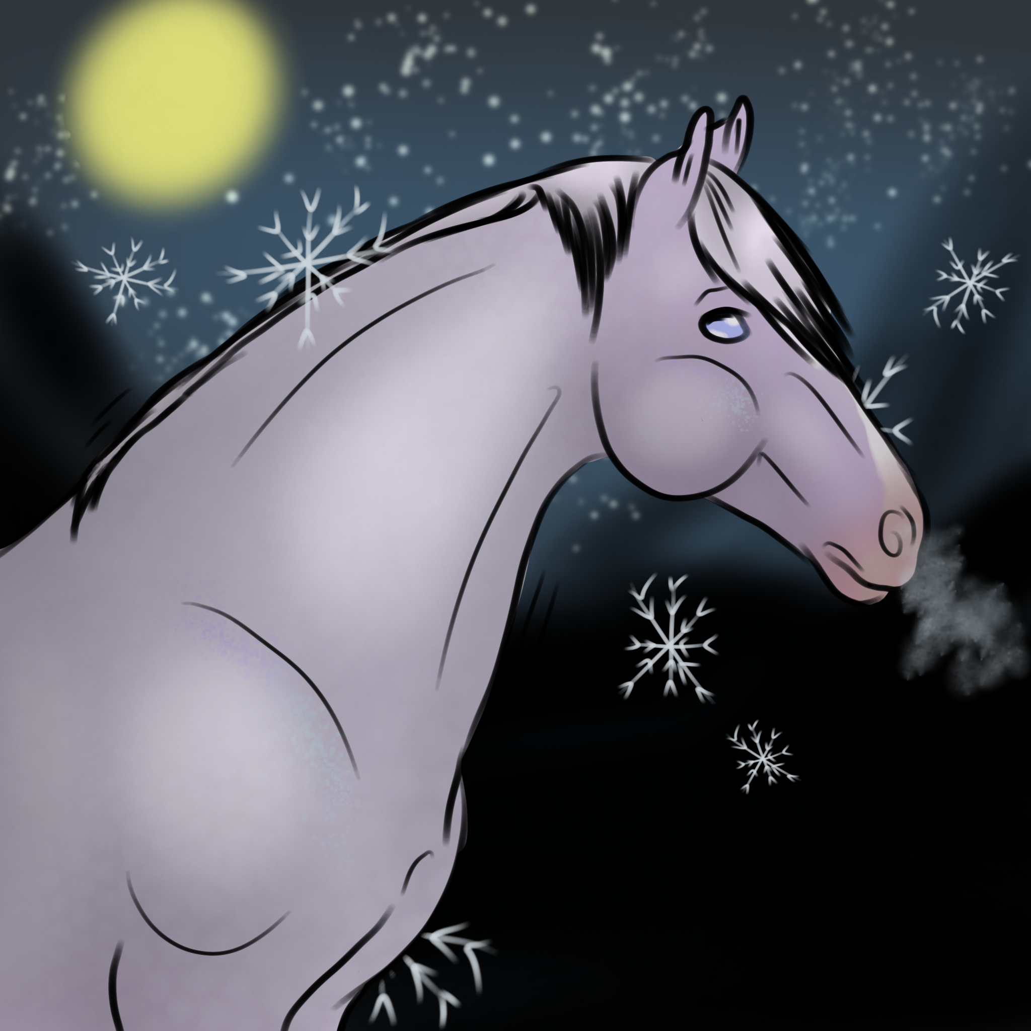 Click to view larger size 11 Frosty evening